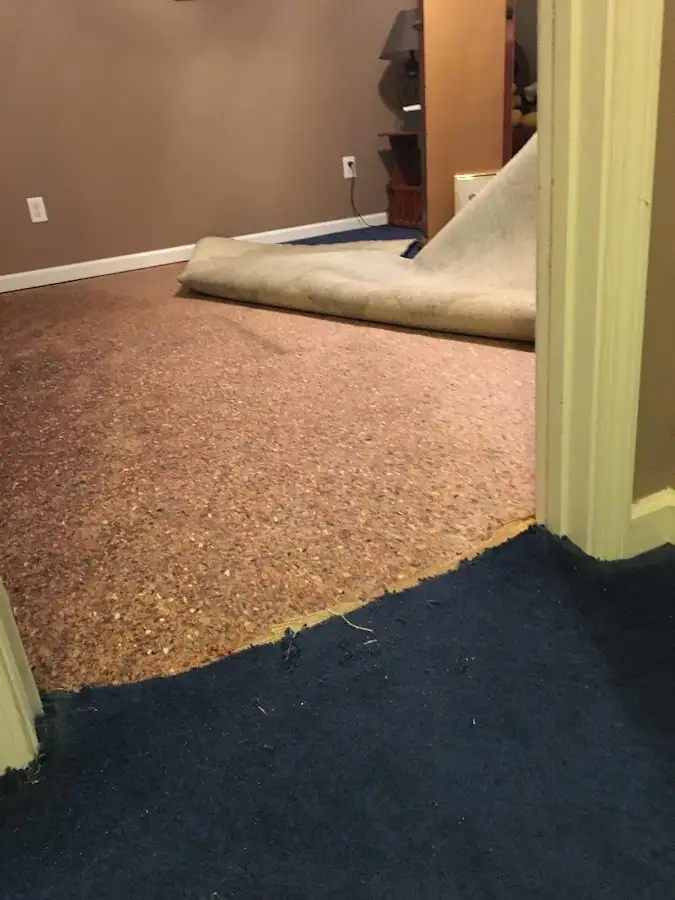 Carpet pad removal revealing water damage during Drying & Dehumidification in Attleboro