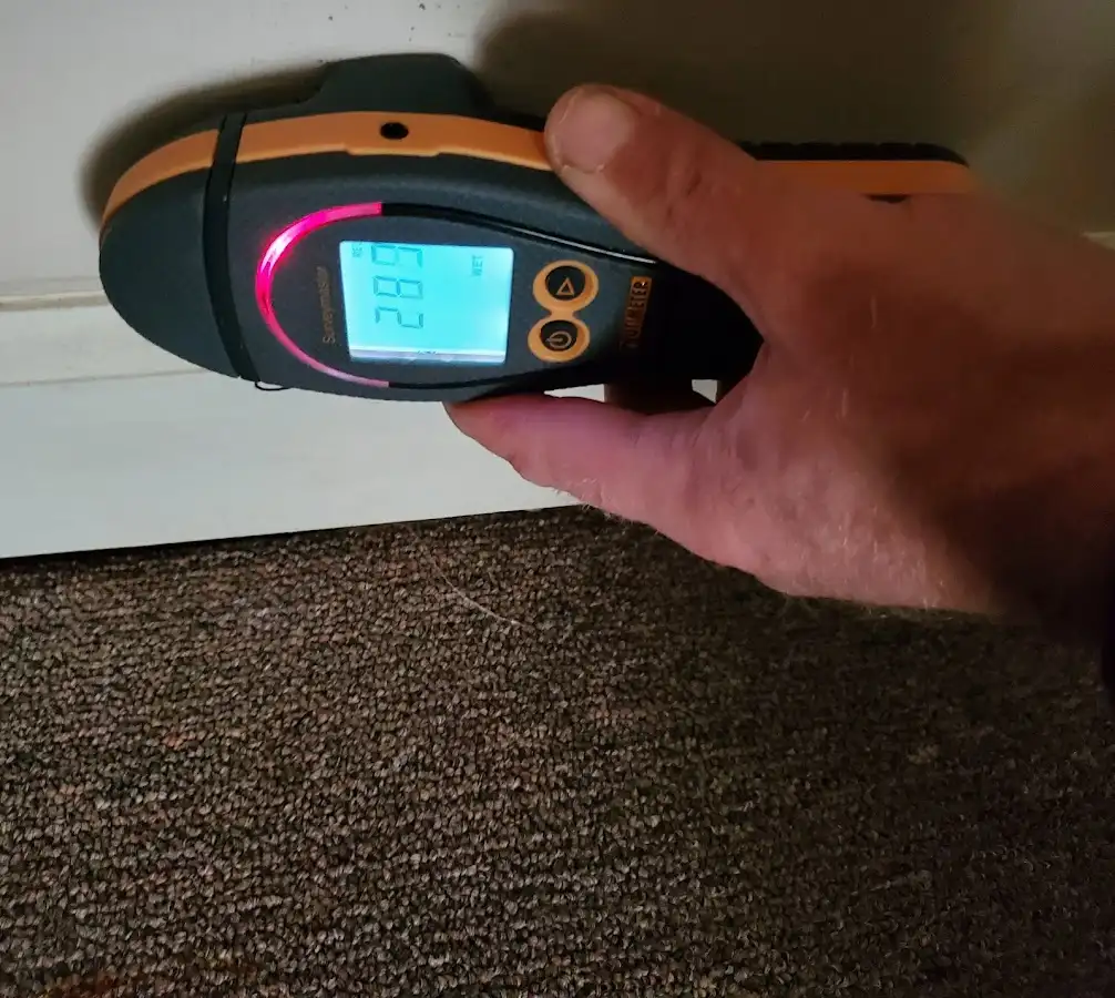 Moisture detection at baseboard during Sewage Cleanup & Sanitation in Attleboro
